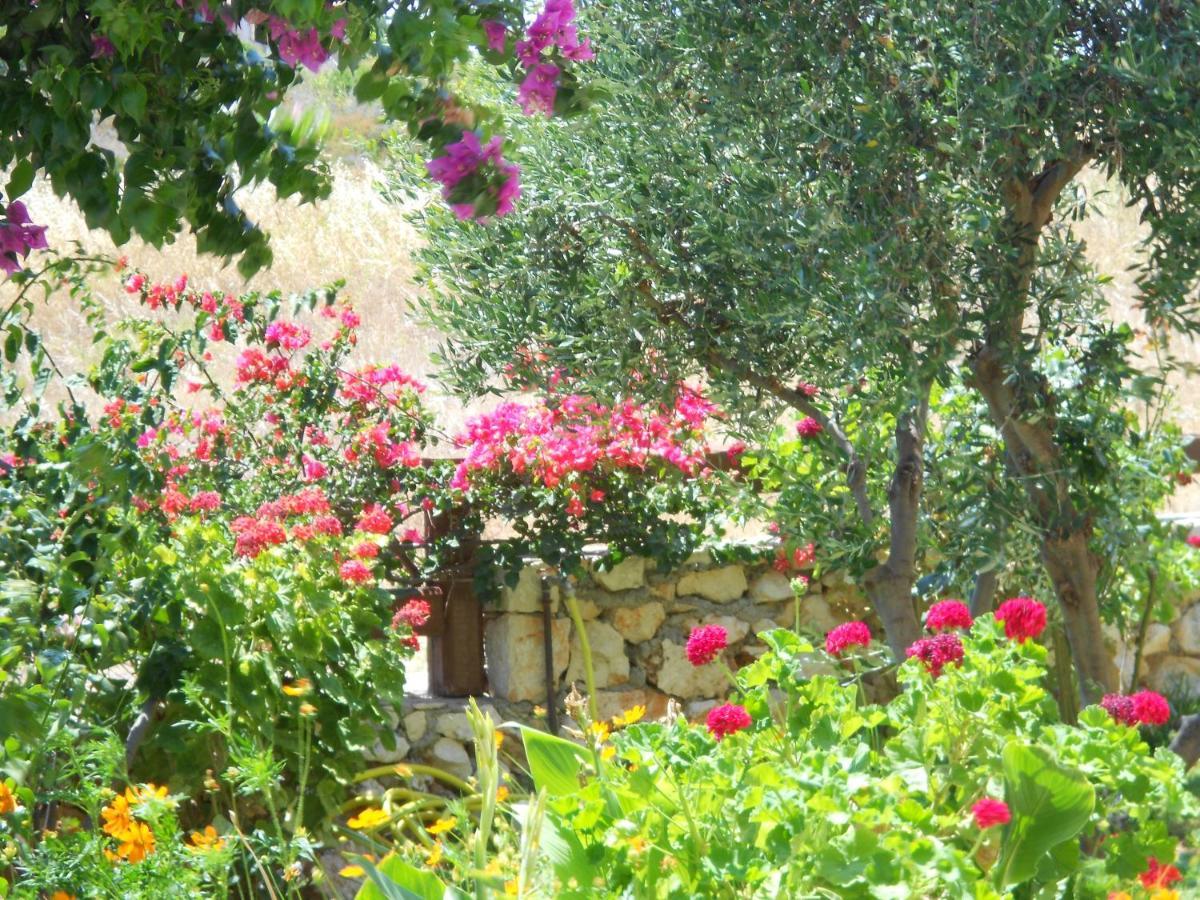Livadaki Village Hotel Skala  Esterno foto